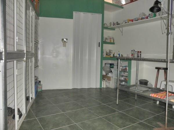 Imagen 41 Trevet servicios veterinarios foto
