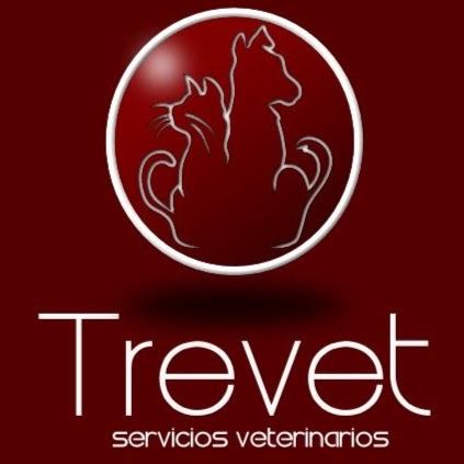 Imagen 53 Trevet servicios veterinarios foto