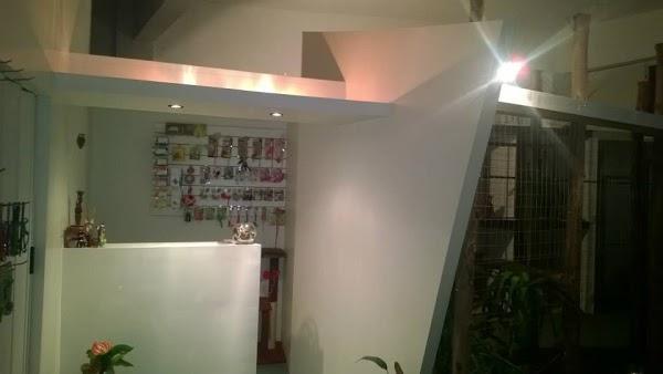 Imagen 56 Trevet servicios veterinarios foto