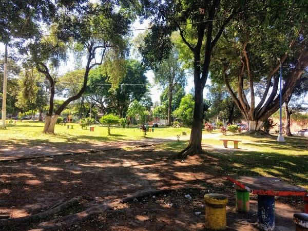 Imagen 100 Parque El Roble foto