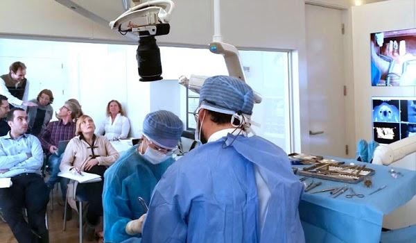 Imagen 17 Sugar Mama's Southern Table foto