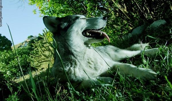 Imagen 54 Bar Marcelino foto