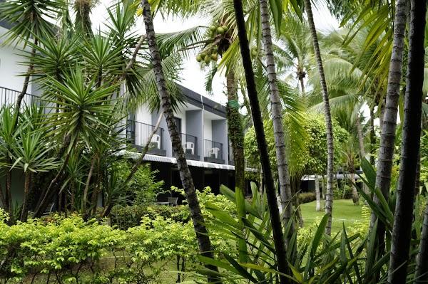 Imagen 2 LIGA DE FUT BOL RAPIDO 