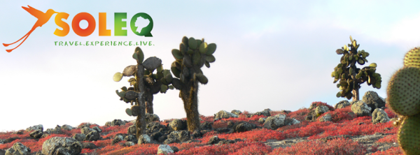 Imagen 9 Cadillac Diner foto