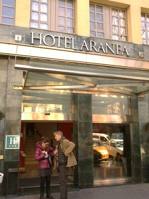 Imagen 14 Hotel Aranea foto