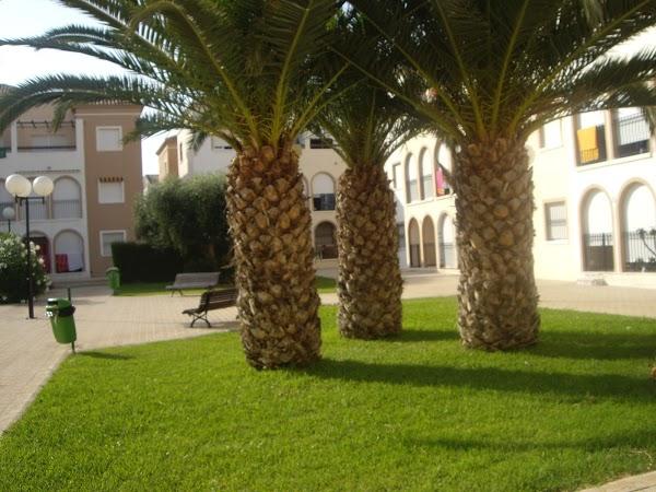 Imagen 32 Colegio Salesiano San Juan Bosco foto