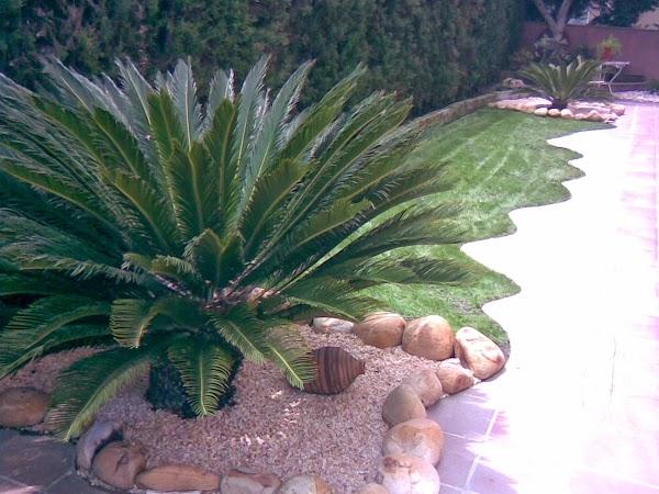 Imagen 51 Lulu's Cakes RD foto