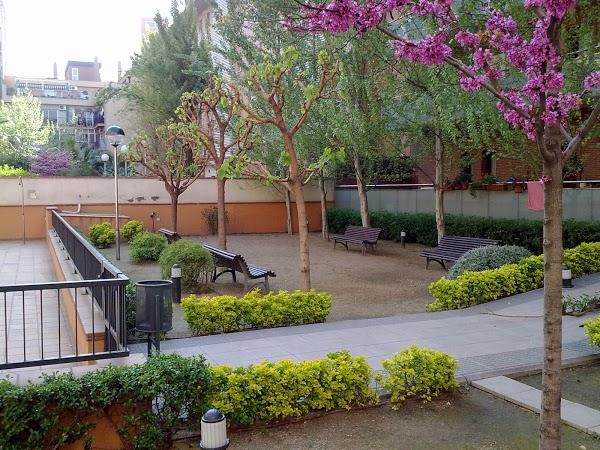 Imagen 74 Lulu's Cakes RD foto