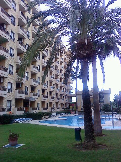 Imagen 9 Altos de Panamá foto