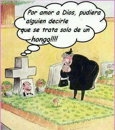 Imagen 1 Fundación Jalisciense para el Desarrollo de la Mujer A.C. foto