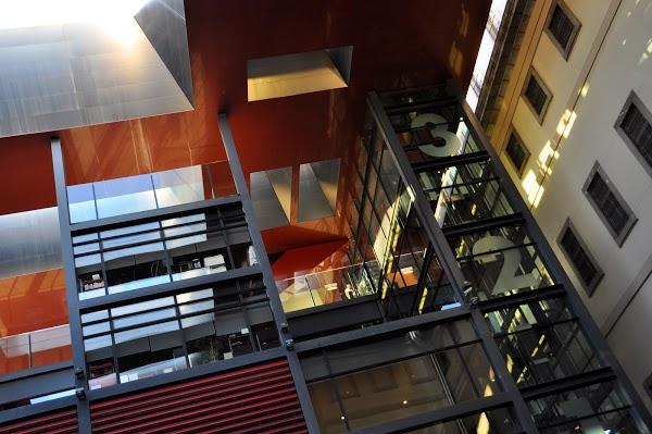 Imagen 22 Fundación Jalisciense para el Desarrollo de la Mujer A.C. foto