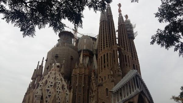 Imagen 625 Gimnasio Metropolitan Sagrada Familia foto