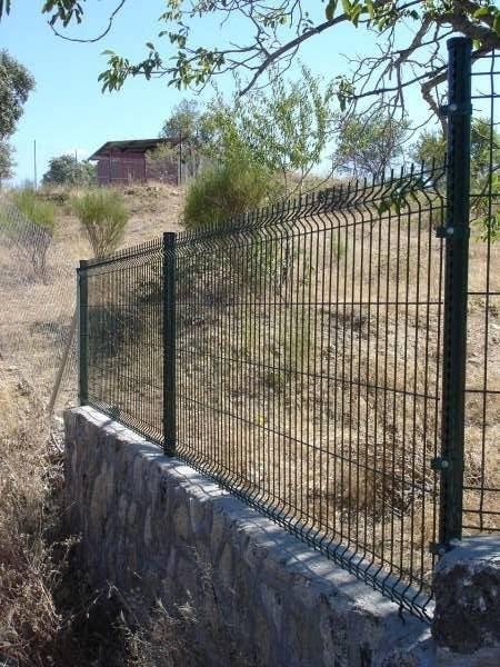 Imagen 16 Pastelería Chocolate y Menta foto