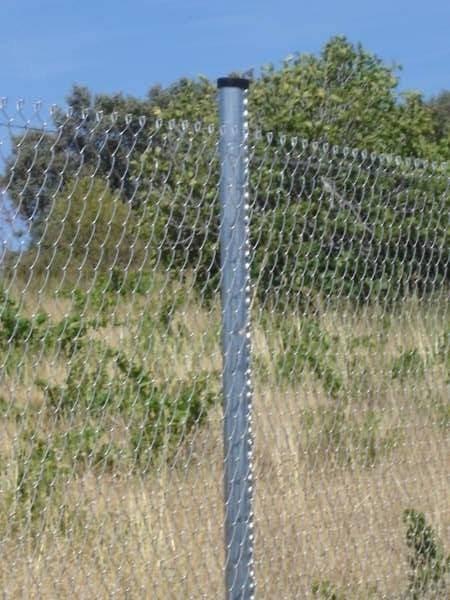 Imagen 21 Pastelería Chocolate y Menta foto