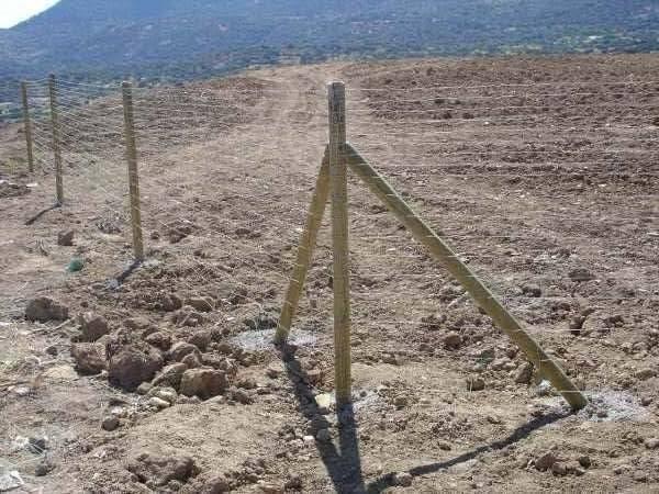 Imagen 34 Pastelería Chocolate y Menta foto