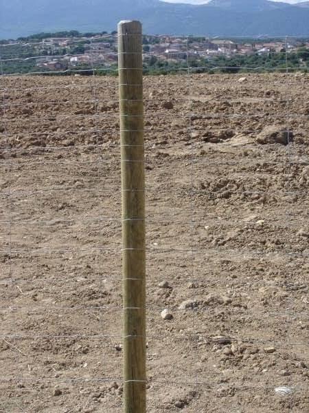 Imagen 7 Pastelería Chocolate y Menta foto