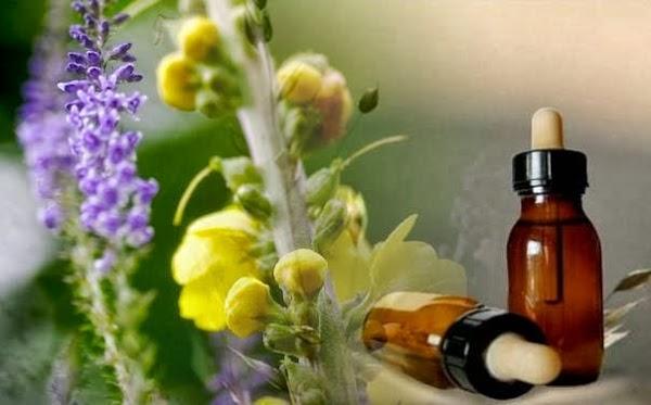 Imagen 15 ISS Facility Services foto