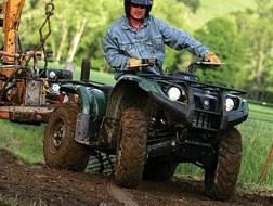 Imagen 13 ciberlocutorio rosa foto