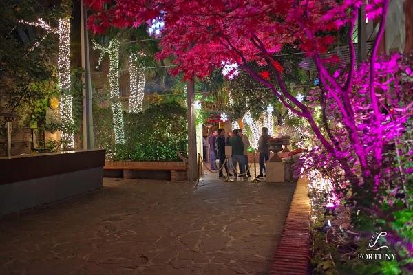 Imagen 14 Rodicio Porto Alegre foto