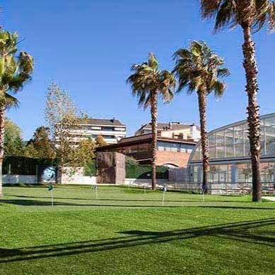 Imagen 16 Mercado Lampa de Oro foto