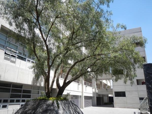 Imagen 68 Conjunto Amoxcalli - Facultad de Ciencias - UNAM foto