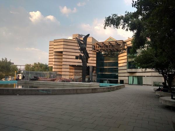 Imagen 71 Conjunto Amoxcalli - Facultad de Ciencias - UNAM foto