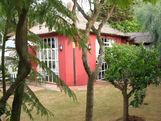 Imagen 9 Krepaz Akí foto