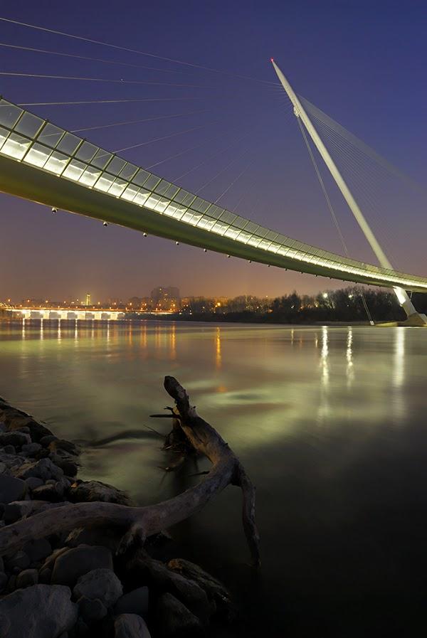 Imagen 14 Coppel foto