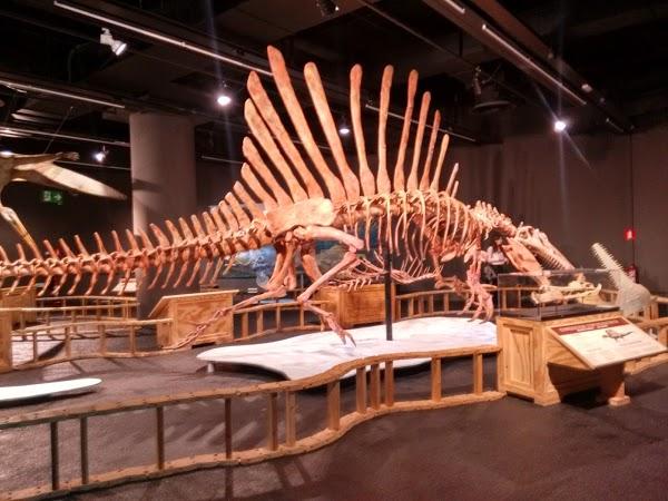 Imagen 33 fisioma fisioterapia foto