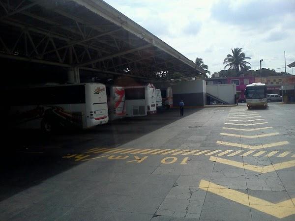 Imagen 108 Terminal Central Veracruz, S.A. De C.V. foto
