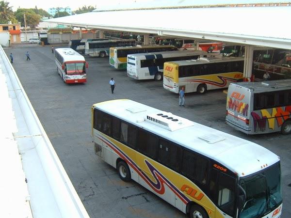Imagen 18 PEPE TOURS foto