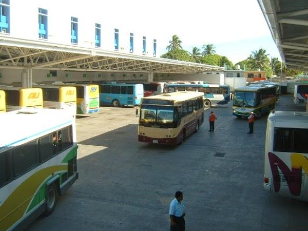 Imagen 260 Terminal Central Veracruz, S.A. De C.V. foto