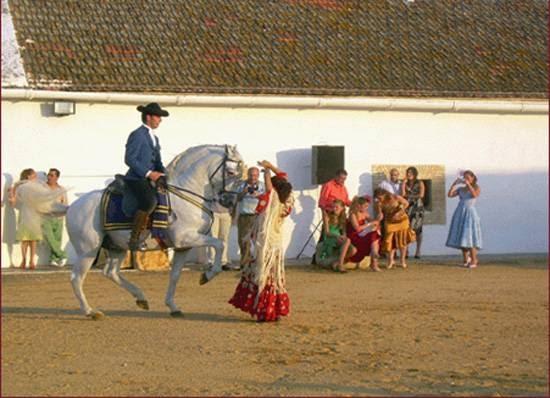 Imagen 5 Educativo Tecnológico EMETA foto