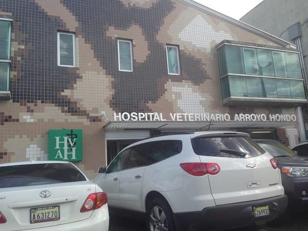 Imagen 28 Alquiler autocares Madrid GHBV foto