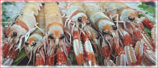 Imagen 28 Tottus foto