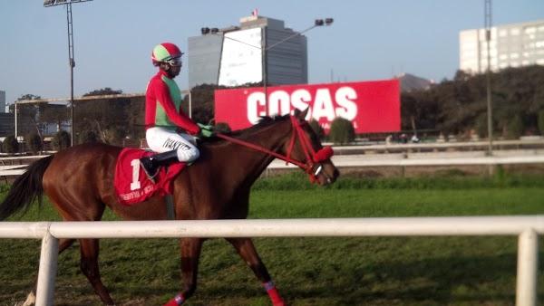 Imagen 52 The White Coffee foto