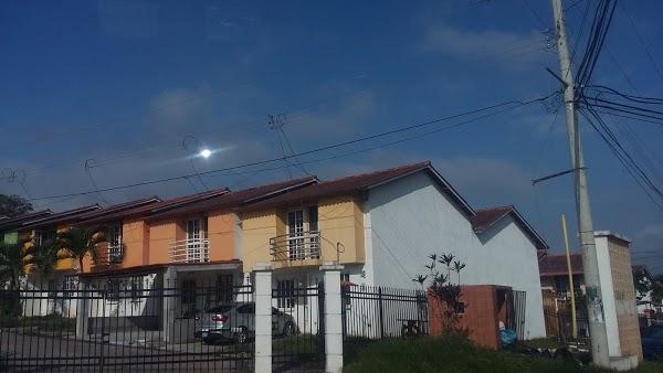 Imagen 37 Cauchos Anton foto