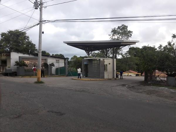 Imagen 39 Cauchos Anton foto