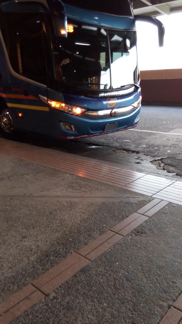 Imagen 59 Cauchos Anton foto