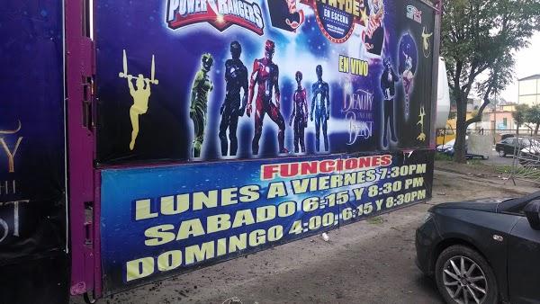 Imagen 51 LINIA foto