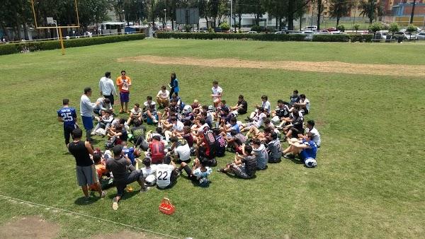 Imagen 52 LINIA foto