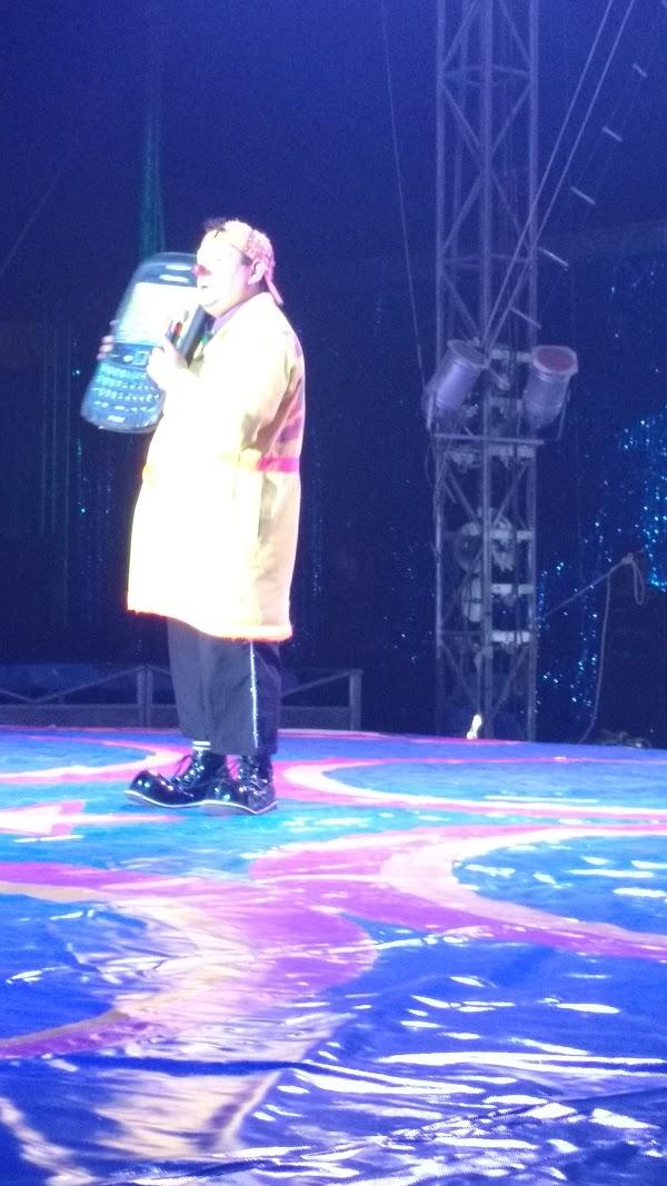 Imagen 62 LINIA foto