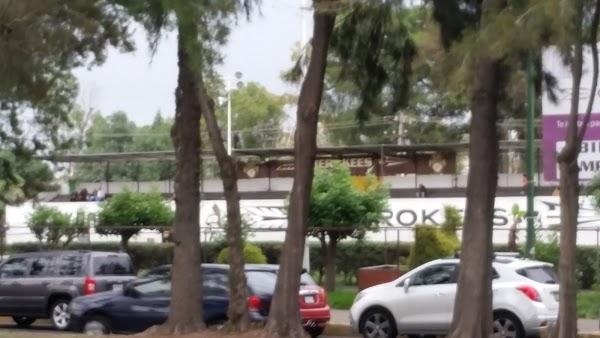 Imagen 63 LINIA foto