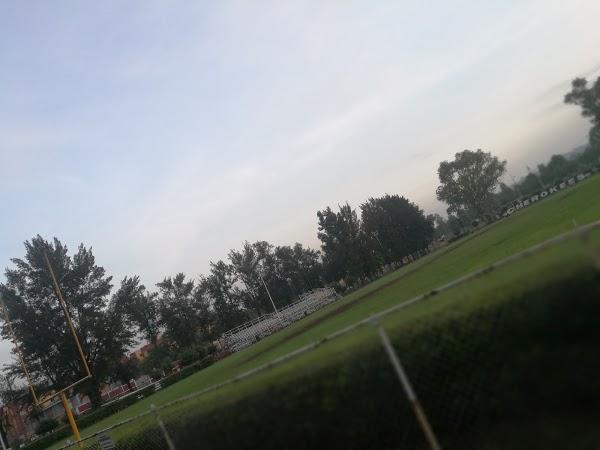 Imagen 64 LINIA foto