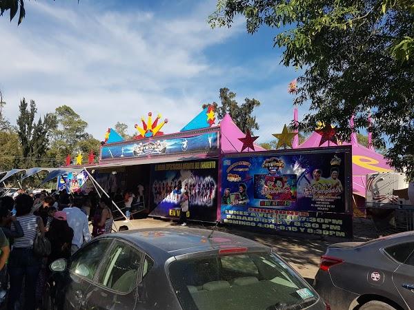 Imagen 69 LINIA foto