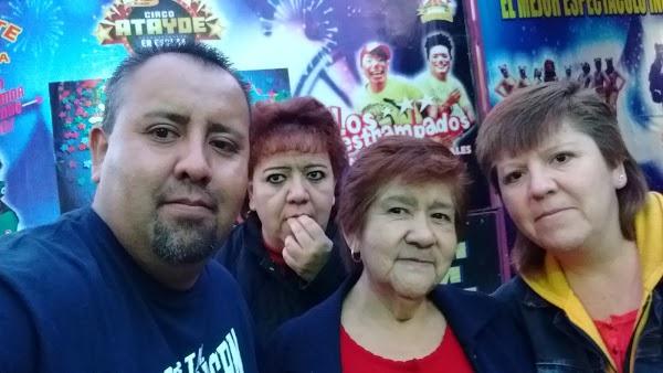 Imagen 72 LINIA foto