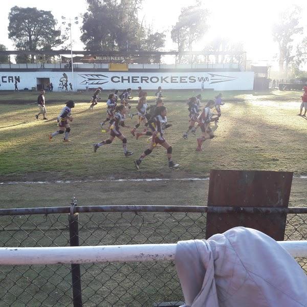 Imagen 74 LINIA foto