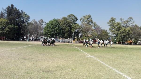 Imagen 75 LINIA foto