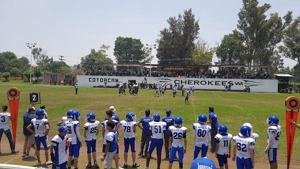 Imagen 76 LINIA foto