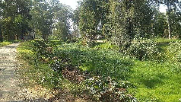 Imagen 77 LINIA foto